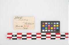 Etikett zu Bronzemehrkopfnadel (NHMW-PRAE-026033)